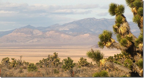 The Mojave