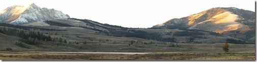 Yellowstone