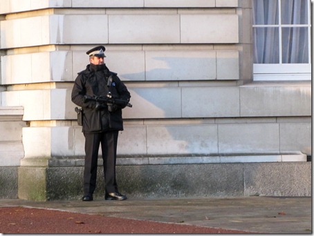 Guard at Buckingham Palace 2