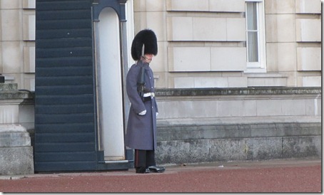 Guard at Buckingham Palace