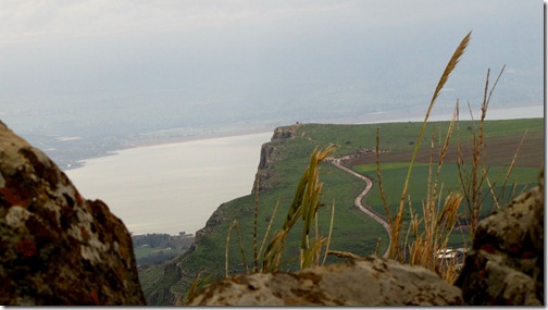 Arbel