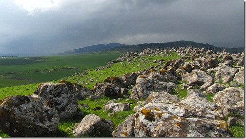 On Top of Horns of Hittim