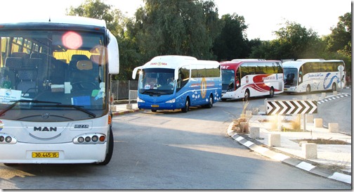 Tour Busses