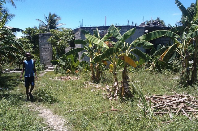 IMAG0112