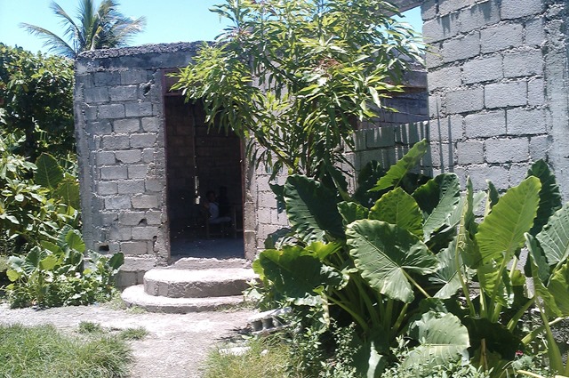 IMAG0113