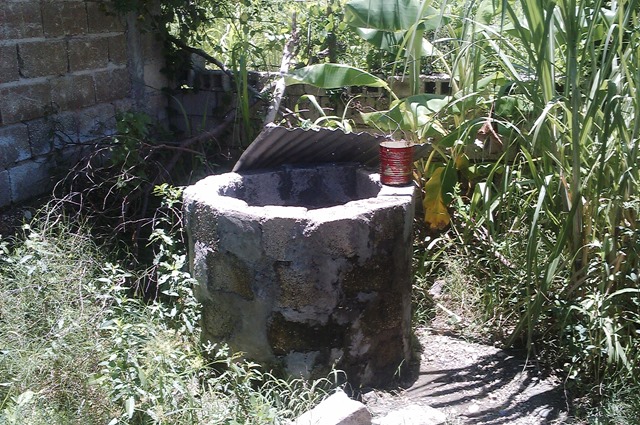 IMAG0120