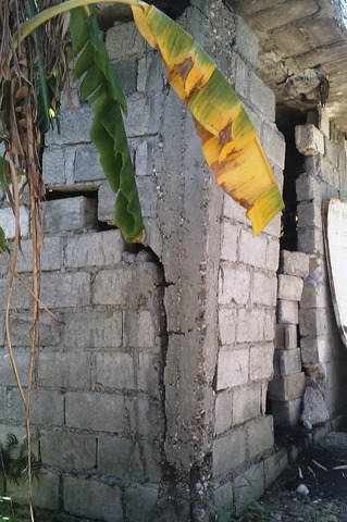 IMAG0123